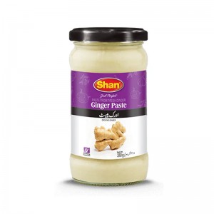 SHAN GINGER PASTE 310G