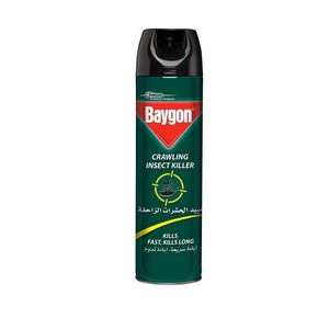 BAYGON CRAWLING INSECT KILLER 300ML